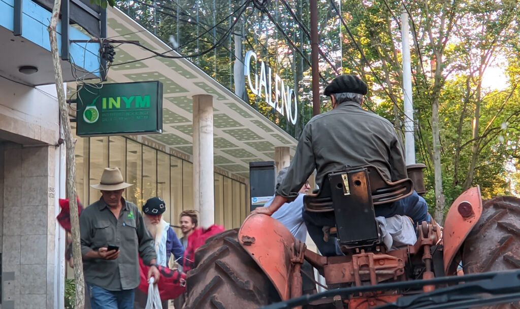 Política agraria – “Un mercado paralelo para la yerba: Nace el INYM “blue”