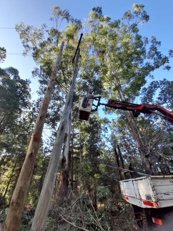 Energía de Misiones S.A. continúa renovando infraestructura en San Pedro