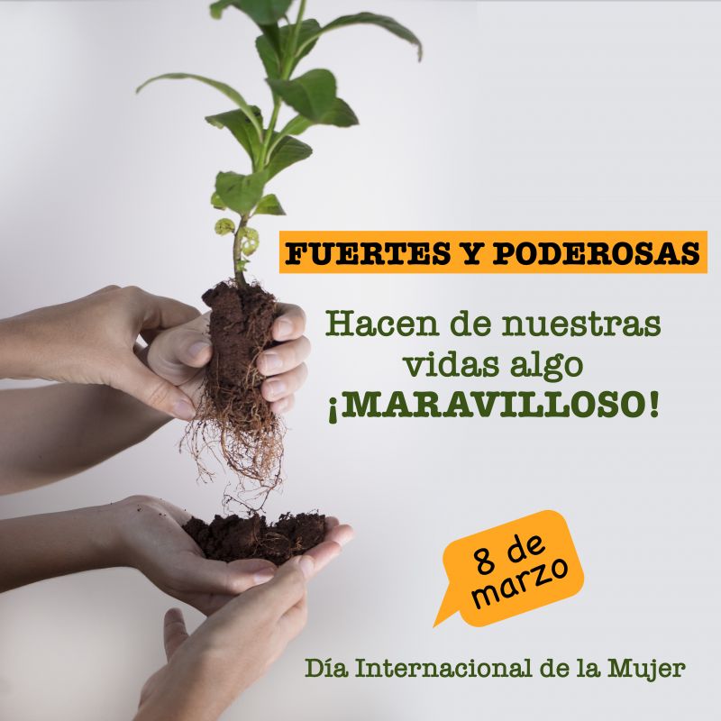 Mensaje del INYM en el Día Internacional de la Mujer