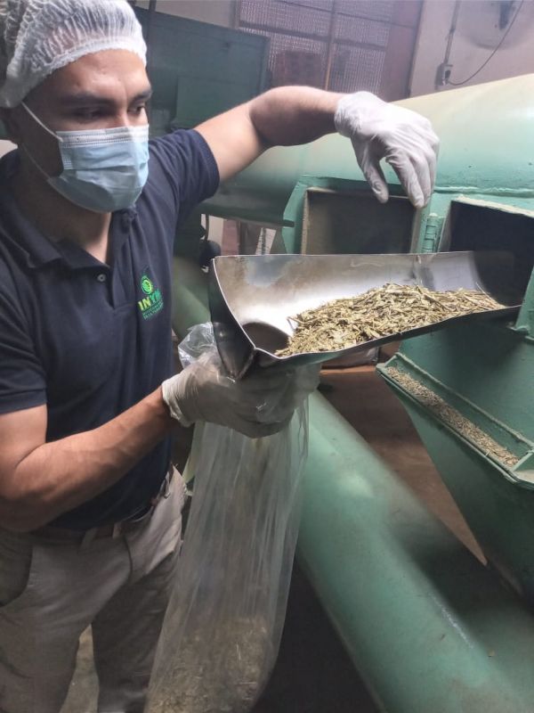 Durante enero se rezarandearon más de 200 mil kilos de yerba mate canchada nacional e importada