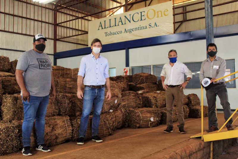 Está vigente el acopio de tabaco en la Provincia de Misiones