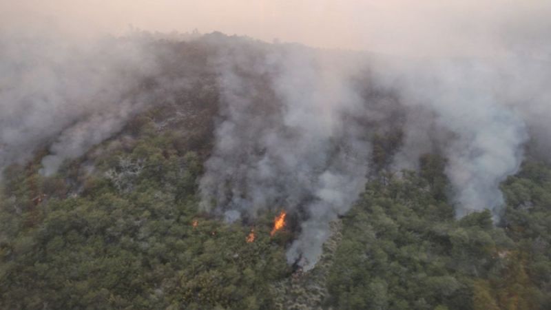 Nación declaró la emergencia agropecuaria en Misiones