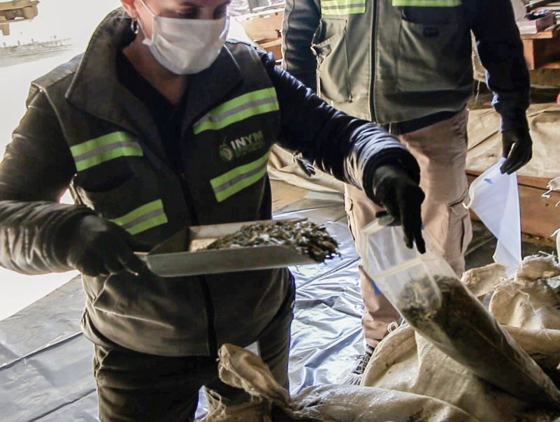 El INYM realiza controles de calidad en establecimientos yerbateros de Misiones y Corrientes
