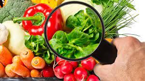Misiones: Informan sobre la importancia de la inocuidad de los alimentos para prevenir enfermedades