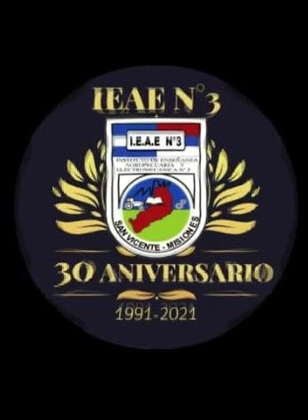 Comunales sanvicentinas: El IEAyE Nº 3 celebra su 30º Aniversario - VIDEO