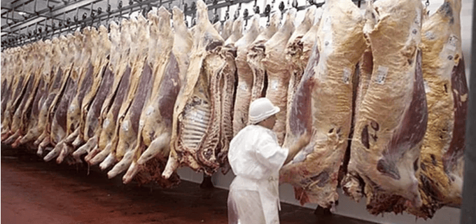 Fin de la media res: Cambia sistema a «troceo» para comercializar la carne y ayudaría a bajar los precios