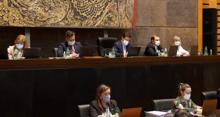 Proyectos sobre salud, juventud, rutas, honorarios veterinarios, fueron aprobados por el Parlamento misionero