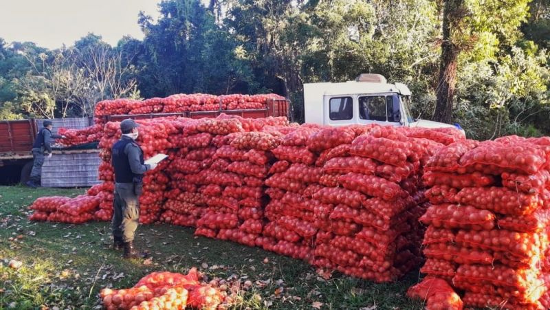 MISIONES – Ilegalidad: En Eldorado Incautaron 14 mil cartones de cigarrillos – En RP2 secuestraron carga de cebollas