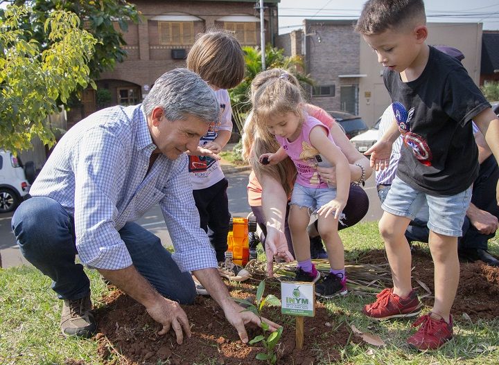 “La Yerba Mate es el gran árbol de la Tierra Colorada”