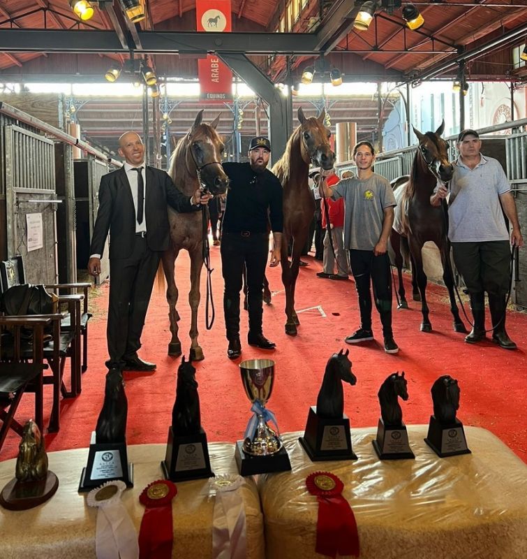 Ejemplares de Misiones multipremiados en la exposición “Nuestros Caballos” en La Rural de Palermo