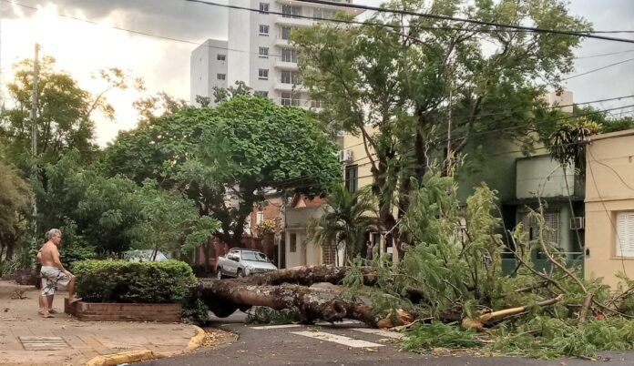 Nuevamente una tormenta azotó al sur de Misiones, dejando árboles caídos y cortes de energía
