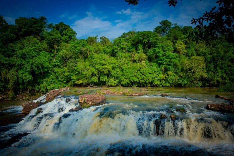 Misiones solicitó a Nación una compensación de $114 mil millones por su contribución al país en la lucha contra el cambio climático