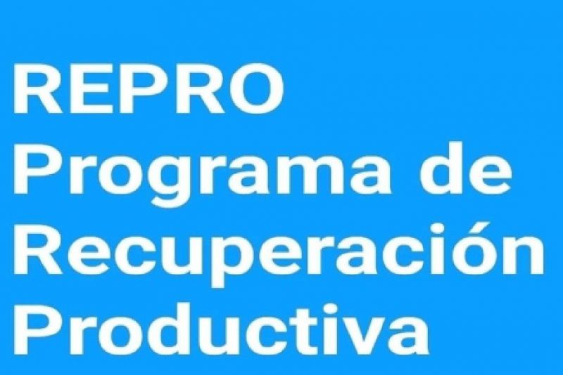 Inscriben empresas para el REPRO II - Detalles