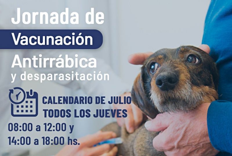 Comunales sanvicentinas: Bromatología inició cronograma de vacunación y desparasitación de canes
