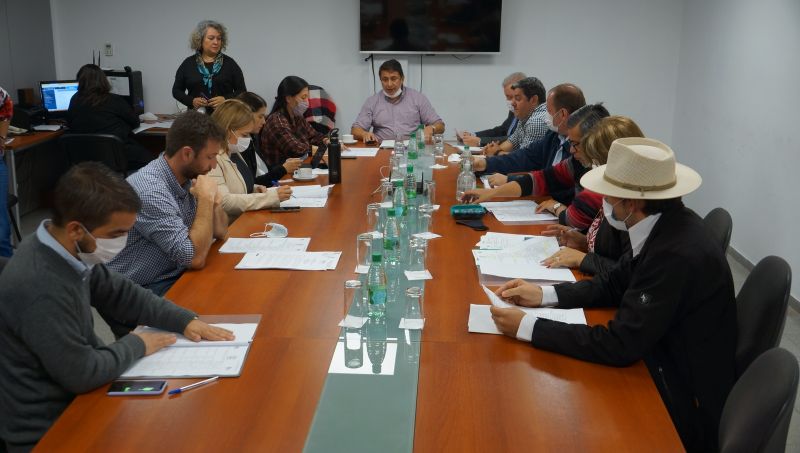 En el Parlamento misionero, avanza el proyecto que otorgará un marco normativo a la central de esterilización