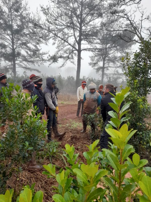 Misiones: La “Cobertura de Salud Yerbatera” llega cada vez a más productores
