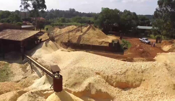 Productores y compradores de chips y raleo piden que bajen los precios – Desde el Infopro afirman que es “tema cerrado”