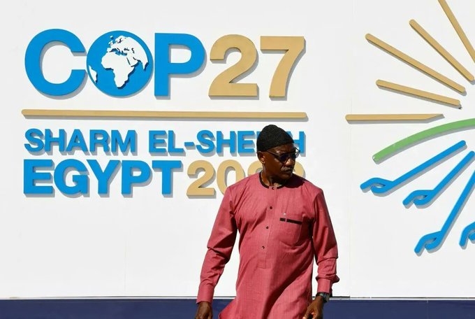 Misiones y sus propuestas en la COP27 para luchar contra el cambio climático