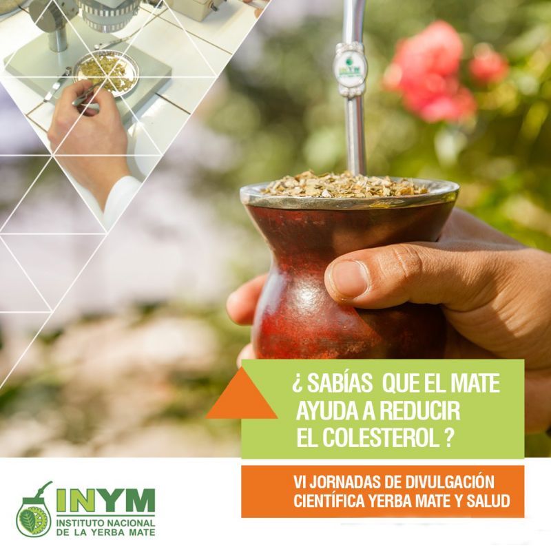 El mate, un buen aliado para bajar de peso y controlar el colesterol