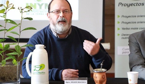“La yerba mate es un tema de la salud pública”