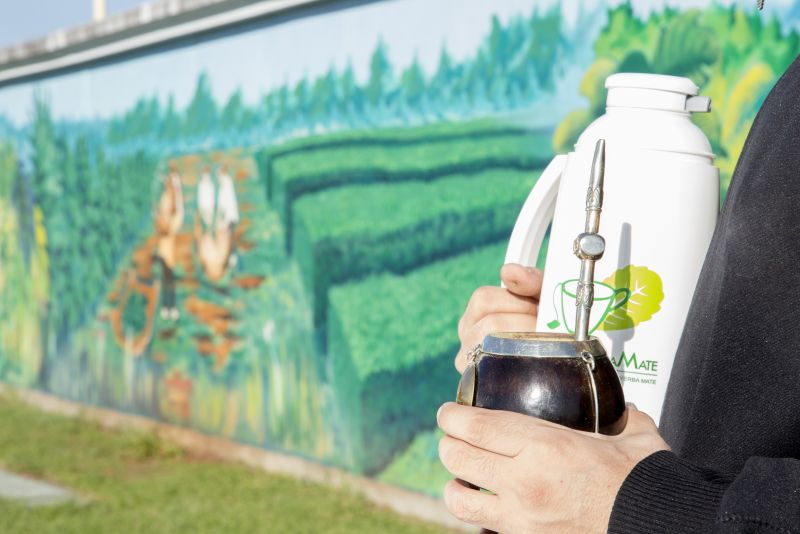 El consumo interno de yerba mate sumó 238,7 millones de kilos al cierre de octubre