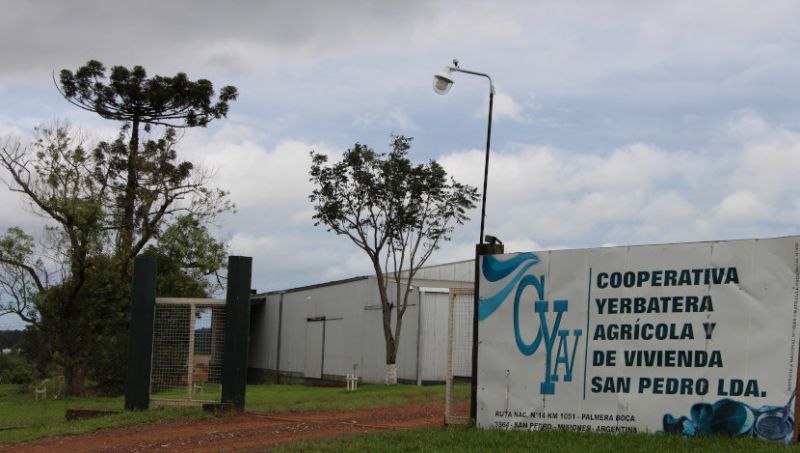 Misiones: La Cooperativa Yerbatera de San Pedro celebró 25 años de trabajo