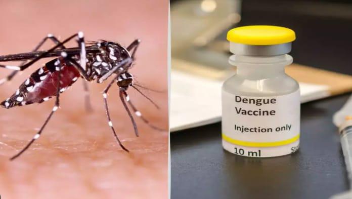Vacuna contra el dengue en Misiones gratuita para personas de entre 20 y 40 años