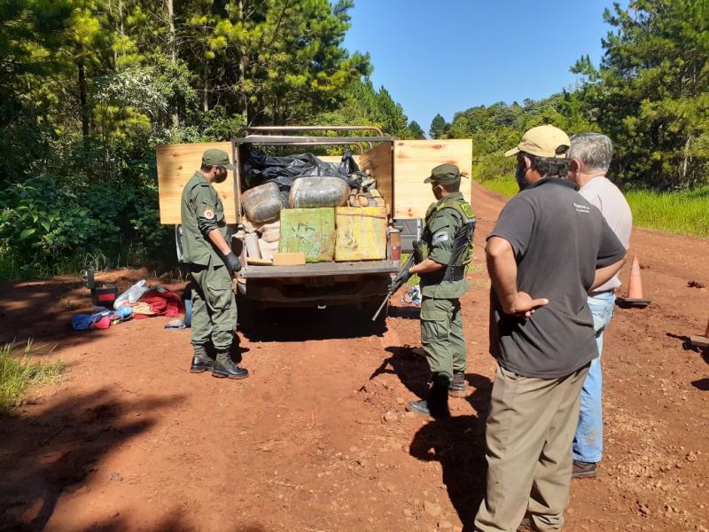 MISIONES – San Vicente: GN decomisó de una tonelada de marihuana