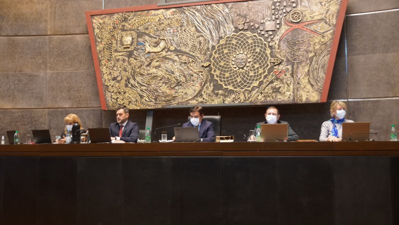 Parlamento de Misiones: Impulso a la producción de miel, el cuidado de ríos y el uso inteligente de la energía