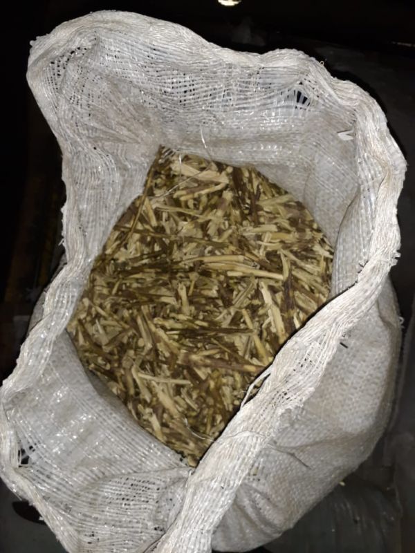 MISIONES – San Pedro: Decomisaron más de 22.000 kilos de palos de yerba mate