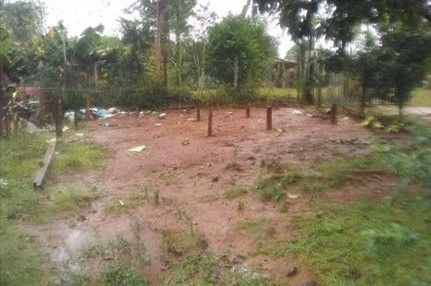 MISIONES – San Vicente: Regresaron de Buenos Aires y se encontraron con que no le habían dejado ni la casa