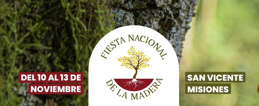 Misiones – Con motivo de la XXXVII Fiesta Nacional de la Madera, el CGE resolvió que sea asueto escolar este viernes 11 – Igualmente para trabajadores municipales de San Vicente