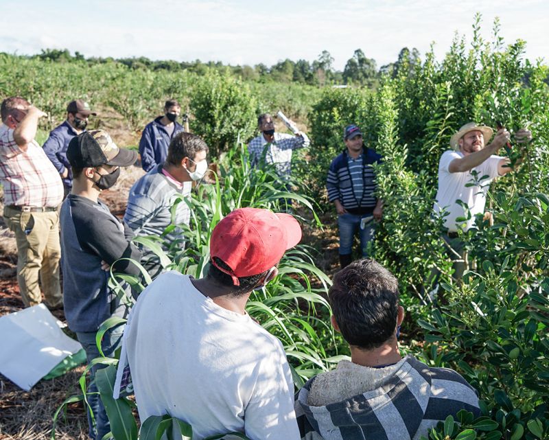El Servicio de Extensión Yerbatero cumplió un año de trabajo junto a los pequeños productores