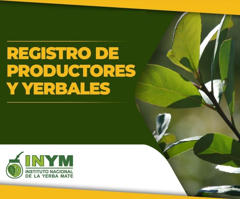 Últimos días para actualizar la superficie plantada de yerba mate
