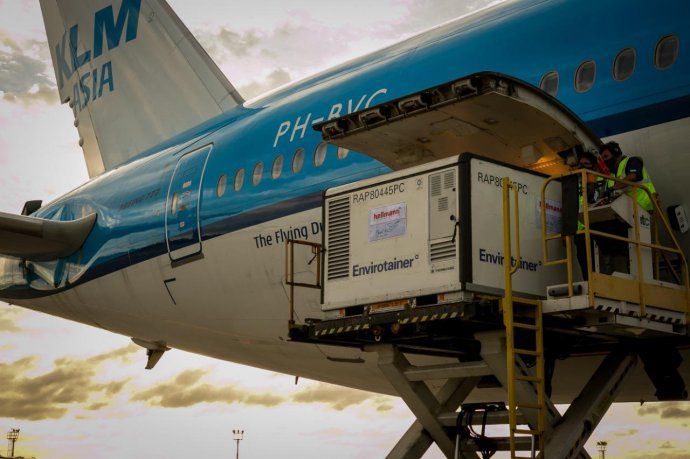 Vacunas: Arribó el segundo avión de Aerolíneas con más de 730 mil de Sputnik V y el país supera 4 millones de dosis