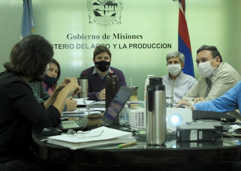 El Inym y el Ministerio del Agro buscan unificar acciones para mejores resultados en el sector yerbatero