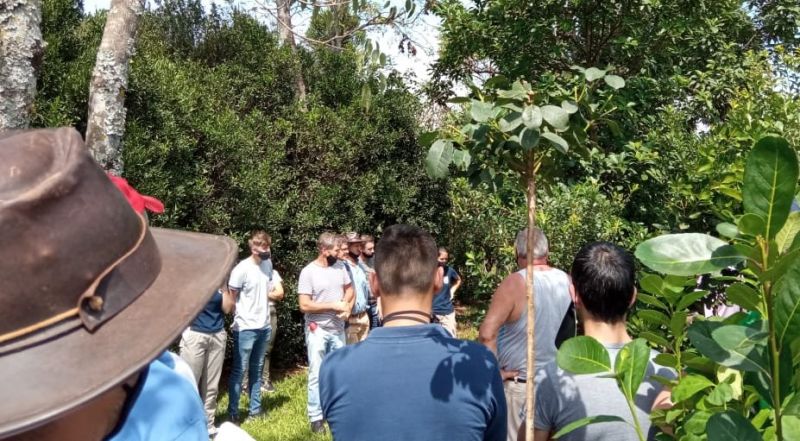 Comunales sanvicentinas: Yerba Mate: jornada con productores, estudiantes y docentes del IEAyE Nº 3