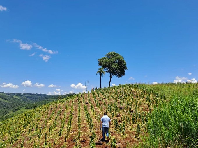 Misiones: Productores de El Soberbio recibieron asistencia inmediata tras pérdidas de cultivos por la granizada