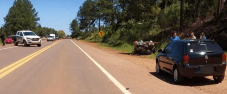 MISIONES – San Vicente: Niño de 11 años perdió la vida en accidente vial sobre la RN14