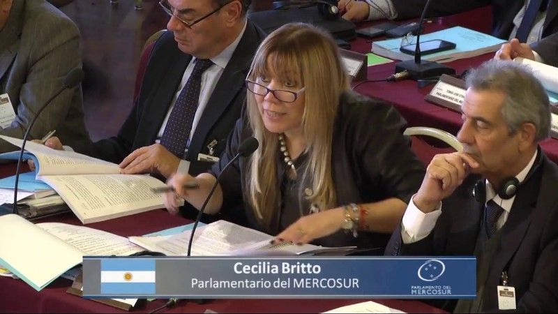 Parlamentaria Britto propone que los Puentes R.González de S. Cruz y T. Neves sean patrimonio cultural