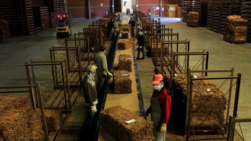 Misiones: Se pagan 188 millones de pesos a tabacaleros