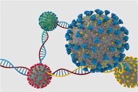 Localizan en qué ciudades de Argentina circulan las variantes de coronavirus y sus mutaciones