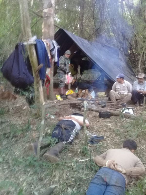 MISIONES – Pque. Uruguaí: Cinco detenidos por caza furtiva