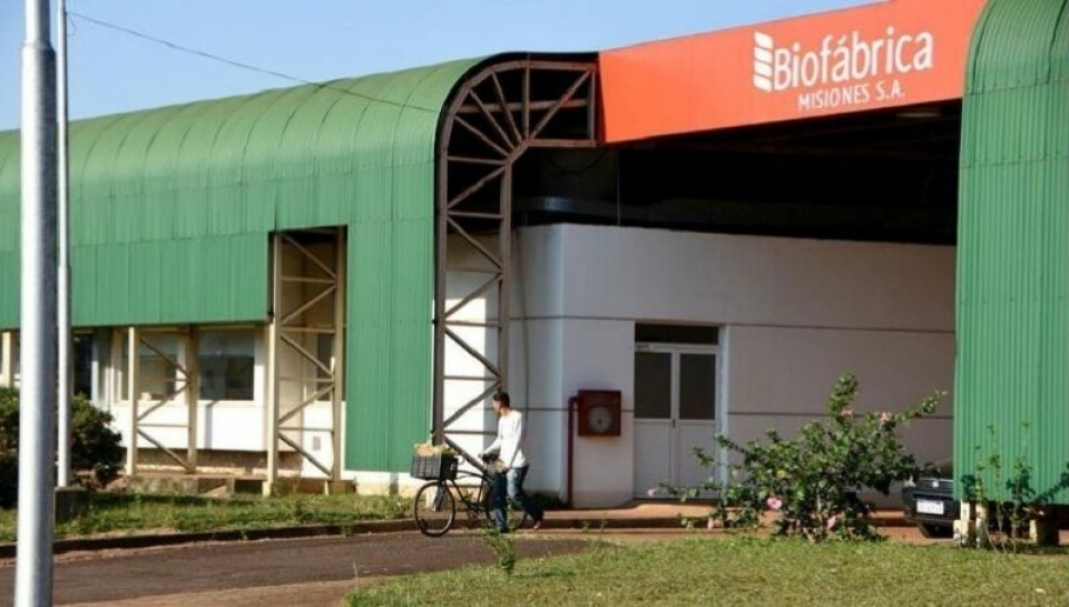 “Biofábrica Misiones S.A.” mantiene su Certificación Internacional ISO 9001