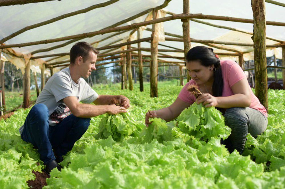 Misiones: “El gen de la Revolución Agroecológica”