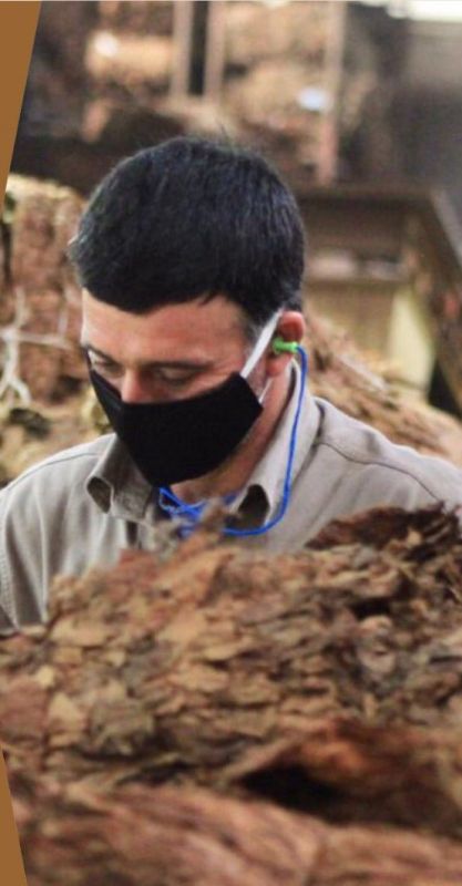Misiones: Nuevo pago del retorno tabacalero