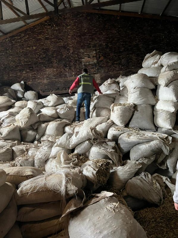 Más controles: el INYM decomisó 50 mil kilos de palos y polvo de yerba ocultos en un secadero abandonado