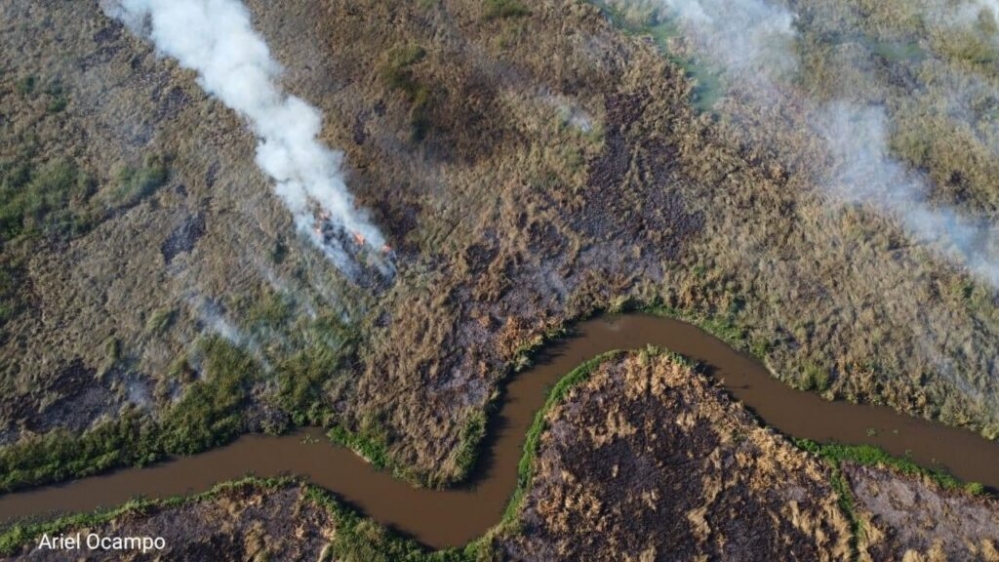 Corrientes en llamas: El humo de los incendios en el Iberá, llegaron a Buenos Aires