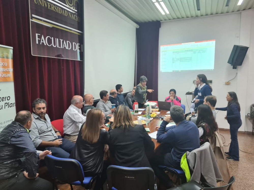 Plan Estratégico Yerbatero: Se evaluaron las líneas de Secaderos