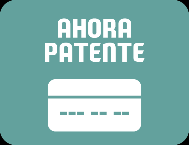 Misiones: Más municipios se suman al Programa “Ahora Patente”